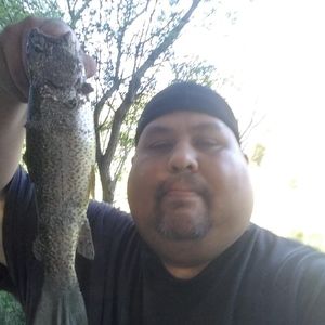 Meet your Posher, Patrick